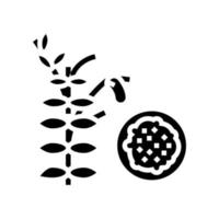 illustrazione vettoriale dell'icona del glifo con semola di lenticchie