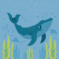 vita marina delle balene sott'acqua vettore