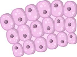 cellula dell'organismo umano. illustrazione piatta del fumetto vettore