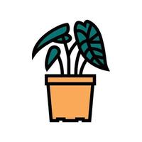 illustrazione vettoriale dell'icona del colore della pianta d'appartamento tropicale