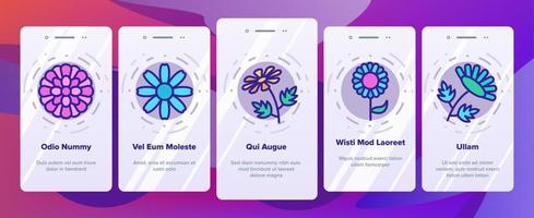 crisantemo fiore onboarding icone set vettore