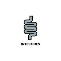 icona del vettore dell'intestino. illustrazione vettoriale colorato design piatto. grafica vettoriale