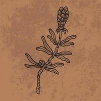 foglia botanica doodle linea arte di fiori selvatici. illustrazione vettoriale disegnata a mano. contorno floreale vintage. adatto per carta da parati, poster, adesivi, contenuti social media