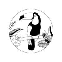 distintivo con un tucano su un ramo e foglie tropicali in cerchio. illustrazione vettoriale di contorno. un uccello esotico.