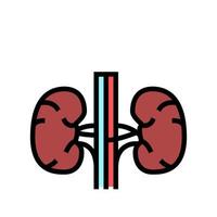 illustrazione vettoriale dell'icona del colore dell'organo umano del rene