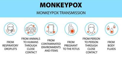 Infografica delle icone di trasmissione del virus del vaiolo delle scimmie. nuovi casi di focolaio in Europa e negli Stati Uniti. vettore