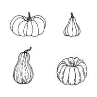 set di zucche in bianco e nero disegnato a mano. cartone animato di verdure in stile doodle. simbolo del raccolto autunnale e di Halloween. vettore