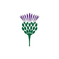 illustrazione del logo del fiore di cardo scozzese vettore