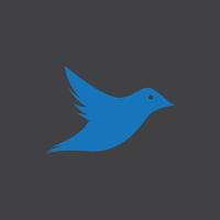 semplice illustrazione del logo dell'uccello blu vettore