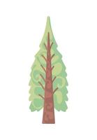 icona della natura del pino dell'albero vettore
