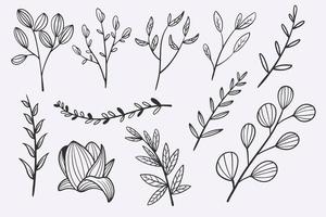 set di illustrazioni vettoriali disegnate a mano con doodle di foglie di fiori