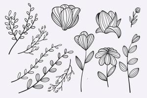 set di illustrazioni vettoriali disegnate a mano con doodle di foglie di fiori