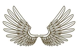 illustrazione vettoriale dell'ala d'aquila