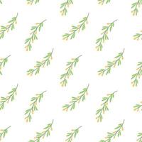 ramoscelli di olivello spinoso su sfondo bianco, motivo vettoriale senza cuciture in stile piatto disegnato a mano