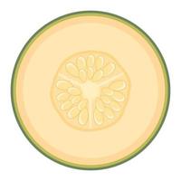 frutta fresca del melone mezzo isolata su fondo bianco. melone cantalupo. frutta estiva per uno stile di vita sano. frutta biologica. stile cartone animato. illustrazione vettoriale per qualsiasi disegno.