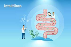 diagnosi medica ed esaminare il tratto gastrointestinale, l'intestino e l'apparato digerente del paziente. il disturbo digestivo provoca dolore infiammatorio intestinale e problemi di indigestione acida. vettore