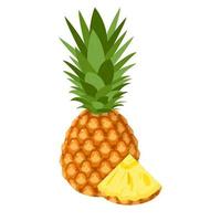 frutta fresca intera e tagliata dell'ananas della fetta isolata su fondo bianco. frutta estiva per uno stile di vita sano. frutta biologica. stile cartone animato. illustrazione vettoriale per qualsiasi disegno.