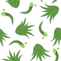 modello senza cuciture con foglie tagliate di piante medicinali di aloe vera isolate su sfondo bianco. stile cartone animato. illustrazione vettoriale per qualsiasi disegno.