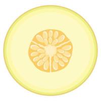 frutta fresca del melone mezzo isolata su fondo bianco. melone verde. frutta estiva per uno stile di vita sano. frutta biologica. stile cartone animato. illustrazione vettoriale per qualsiasi disegno.