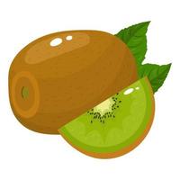 kiwi fresco intero e affettato con foglie isolate su sfondo bianco. frutta estiva per uno stile di vita sano. frutta biologica. stile cartone animato. illustrazione vettoriale per qualsiasi disegno.