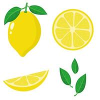 set di frutta fresca intera, metà, tagliata e foglie di limone isolato su sfondo bianco. frutta estiva per uno stile di vita sano. frutta biologica. stile cartone animato. illustrazione vettoriale per qualsiasi disegno.