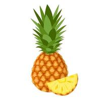 frutta fresca intera e tagliata dell'ananas della fetta isolata su fondo bianco. frutta estiva per uno stile di vita sano. frutta biologica. stile cartone animato. illustrazione vettoriale per qualsiasi disegno.