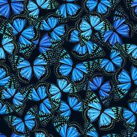molte farfalle blu senza cuciture vettore