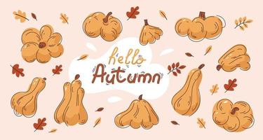 un set di zucche. zucche di diverse forme nel fogliame autunnale. zucca autunnale vettore