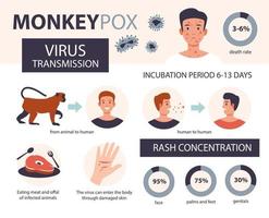 infografica sul vaiolo delle scimmie. metodi di infezione e aree colpite dalla malattia. illustrazione vettoriale piatta.