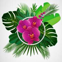 adorabili orchidee rosa e foglie tropicali vettore