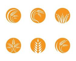 set di logo di grano di agricoltura vettore