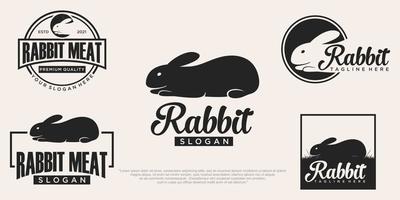 set di disegno dell'illustrazione dell'icona di vettore del modello di coniglio
