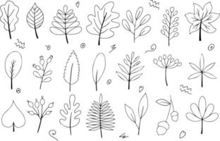 set di foglie autunnali in contorno bianco e nero. colorazione. stile scarabocchio. Ciao autunno. disegno o adesivo. illustrazione vettoriale isolata