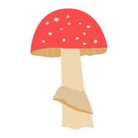 fungo velenoso rosso evidenziato su sfondo bianco. una serie di illustrazioni vettoriali. vettore