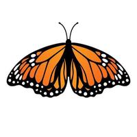 farfalla monarca. illustrazione vettoriale isolato su sfondo bianco