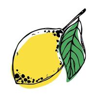 clipart di limone vettoriale. icona di agrumi disegnata a mano. illustrazione di frutta. per stampa, web, design, arredamento vettore