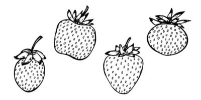 set vettoriale di clipart fragola. icona di bacca disegnata a mano. illustrazione di frutta. per stampa, web, design, arredamento, logo.