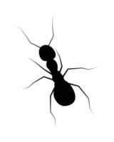 sagoma di formica - illustrazione vettoriale pittogramma