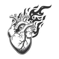 caldo cuore fuoco logo silhouette. Leone cuore grafico design loghi o icone. vettore illustrazione.