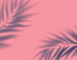 realistico trasparente ombra a partire dal foglia palma albero rosa sfondo