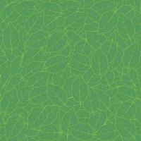 senza soluzione di continuità con verde betulla le foglie vettore
