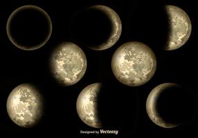 Luna realistico cicli elementi vettoriali