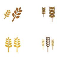 logo di grano o cereali, campo di grano e logo della fattoria di grano.con illustrazioni di modifica facili e semplici. vettore