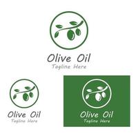 oliva olio logo natura vettore