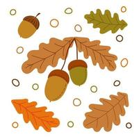 vettore illustrazione di quercia ramo con Due ghiande e foglia. ghiande isolato su un' bianca sfondo. autunno decorazione. ghianda, quercia noce, seme.