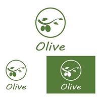 oliva olio logo natura vettore