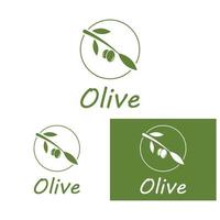 oliva olio logo natura vettore