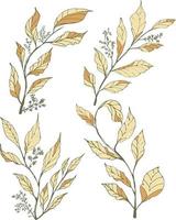 mano disegnato vettore le foglie e fiore elementi collezione. vettore illustrazione di floreale botanico fiore isolato su bianca sfondo