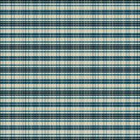 fantasia scozzese o plaid color notte. vettore