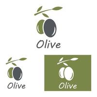 oliva olio logo natura vettore